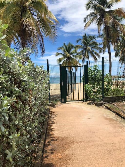 Soleiade Le Gosier - Acces Plage Exterior photo